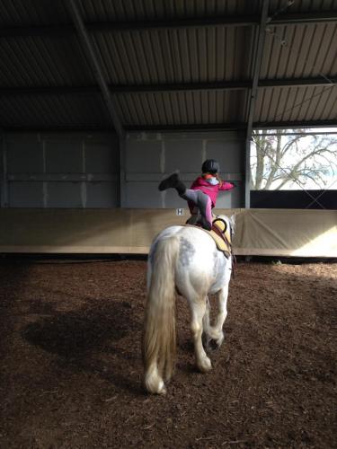 0544 Approche du cheval