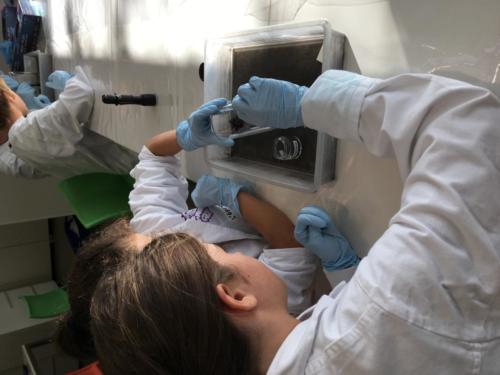 1890 police scientifique